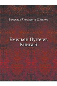 Емельян Пугачев Книга 3