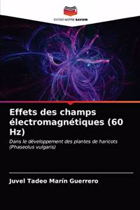 Effets des champs électromagnétiques (60 Hz)