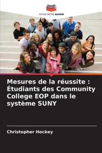 Mesures de la réussite