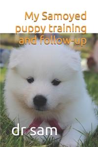 My Samoyed puppy training and follow-up
