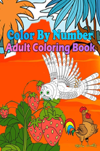 Color By Number Adult Coloring Book