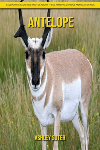 Antelope