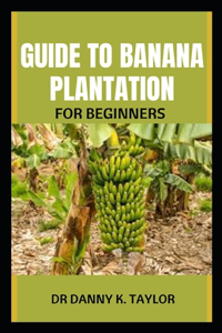 Guide to Banana Plantation for Beginner