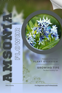 Amsonia: Flower overview and Growing Tips