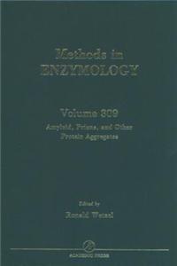 Amyloid, Prions, and Other Protein Aggregates