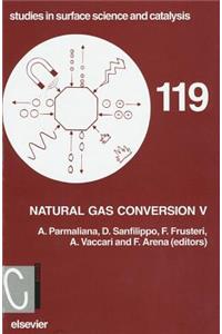 Natural Gas Conversion V