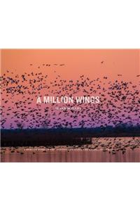 A Million Wings