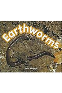 Rigby Focus Early Fluency: Leveled Reader Bookroom Package Nonfiction (Levels I-N) Earthworms