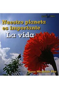 La Vida (Life)