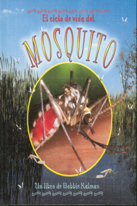 El Ciclo de Vida del Mosquito