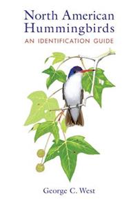 North American Hummingbirds: An Identification Guide