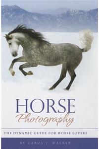 Horse Photography