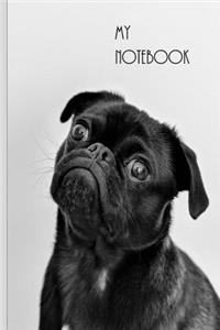 My Notebook