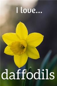 I Love Daffodils