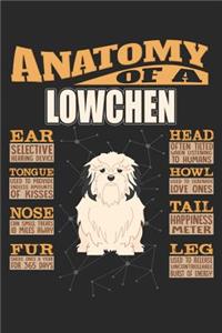 Anatomy Of A Lowchen
