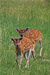 Two Fallow Deer Journal