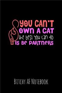 You Can't Own a Cat the Best You Can Do Is Be Partners
