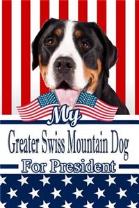 My Greater Swiss Mountain Dog for President