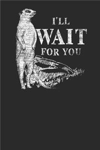 I'll Wait For You