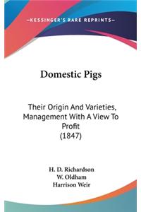 Domestic Pigs