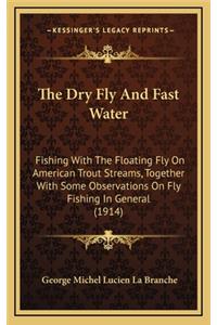 Dry Fly And Fast Water
