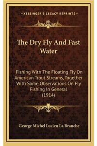 Dry Fly And Fast Water