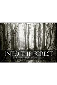 Into the Forest 2018
