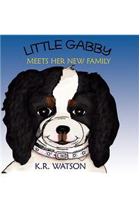 Little Gabby Meets Her New Family