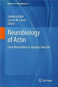 Neurobiology of Actin