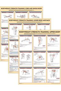 Bodyweight Strength Training Anatomy Poster Series