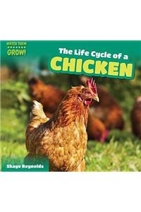 The Life Cycle of a Chicken