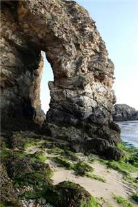 The Cornwall Coast in England Journal