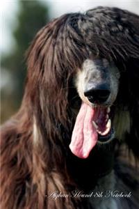 Afghan Hound 8th Notebook Record Journal, Diary, Special Memories, To Do List, Academic Notepad, and Much More