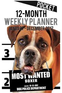 2017 Pocket Weekly Planner - Most Wanted Boxer