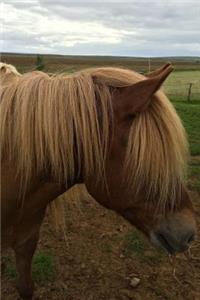 A Shaggy Brown Icelandic Pony in a Mountain Pasture Journal