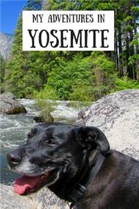 My Adventures in Yosemite