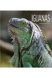 Iguanas