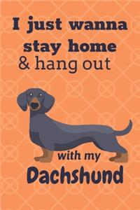 I just wanna stay home & hang out with my Dachshund