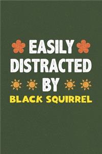 Easily Distracted By Black Squirrel