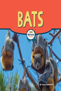 Bats