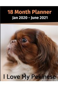 Jan 2020 - June 2021 18 Month Planner