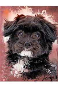Cute Black Maltese Dog Composition Notebook, Blank Sketch Paper