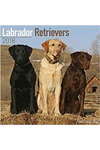 Labrador Retrievers Calendar 2018