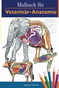 Malbuch für Veterinär-Anatomie