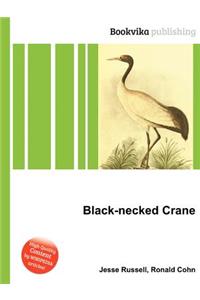 Black-Necked Crane