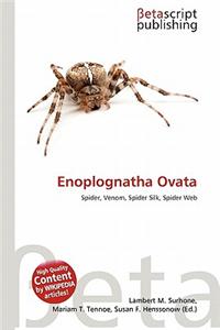 Enoplognatha Ovata