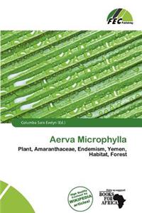 Aerva Microphylla