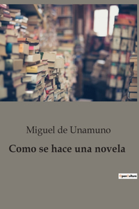 Como se hace una novela