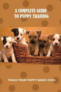 A Complete Guide To Puppy Training