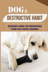 Dog & Destructive Habit